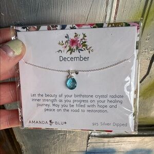 Amanda blu December silver dipped necklace